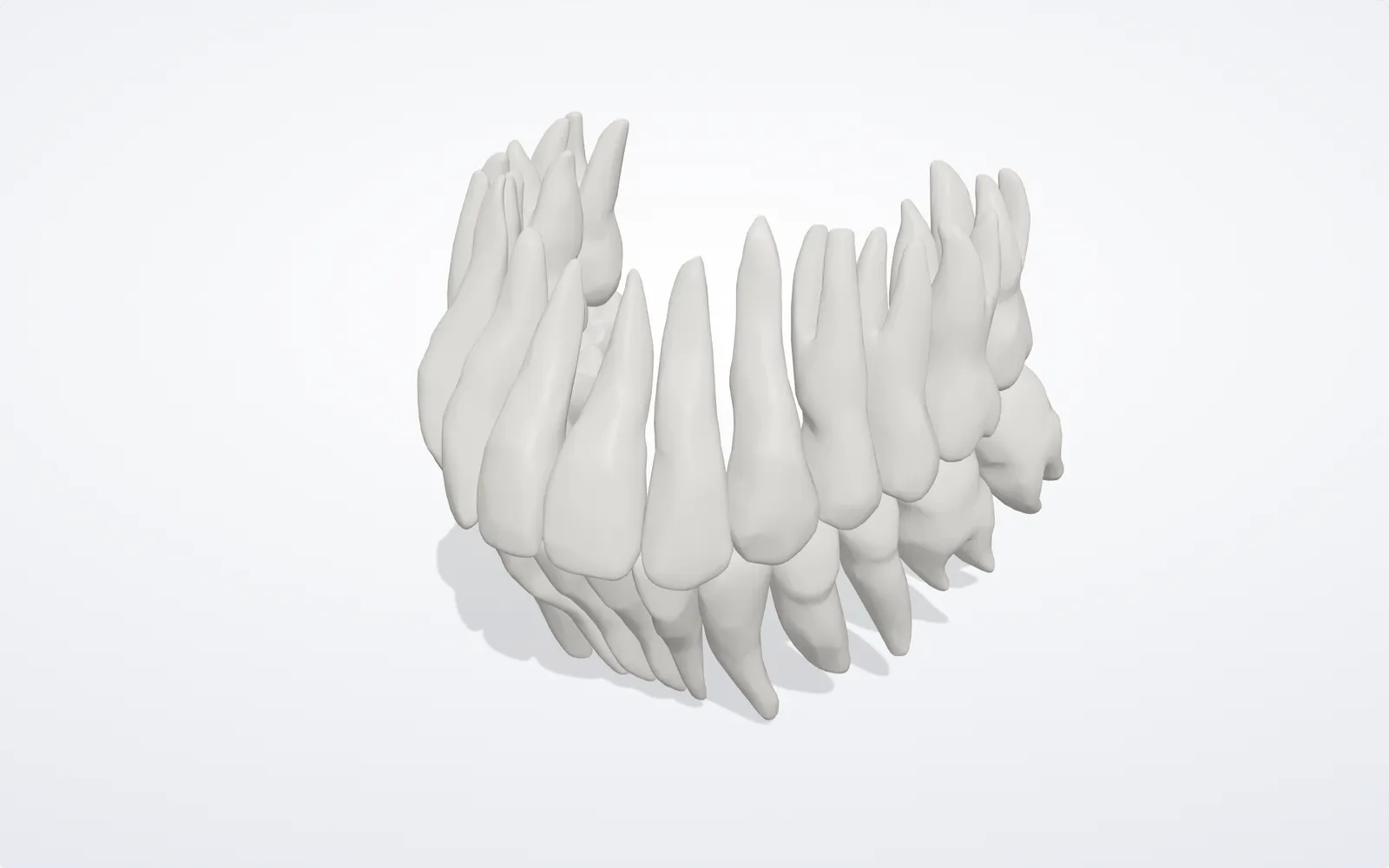 A 3D model of a full set of upper and lower teeth that you can turn and zoom.